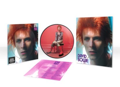 Picture Disc Space Oddity
