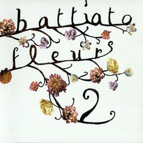 Franco Battiato - Fleurs 2 (Vinyl Picture Disc) - Sky Stone and Songs